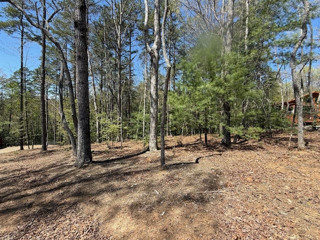 Lot 2 Lynae Lane Murphy, NC 28906 - Photo 4 of 5