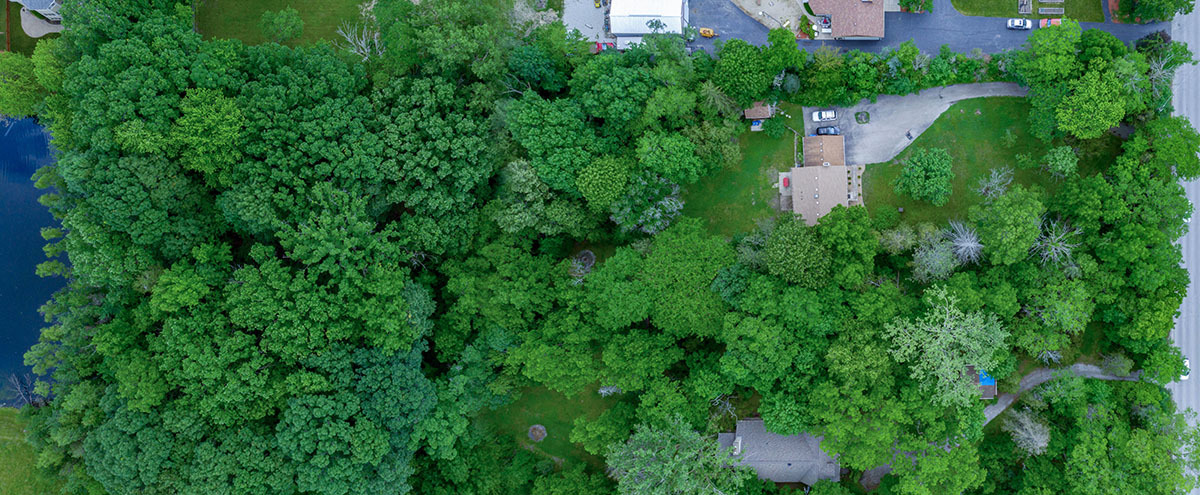 2010 Bilter Road Aurora, IL 60502 - Photo 3 of 47 an aerial view of residential house with outdoor space and trees all around