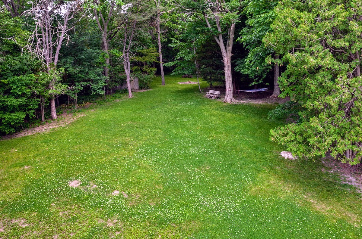 2010 Bilter Road Aurora, IL 60502 - Photo 28 of 47 a view of a backyard with potted plants and large trees