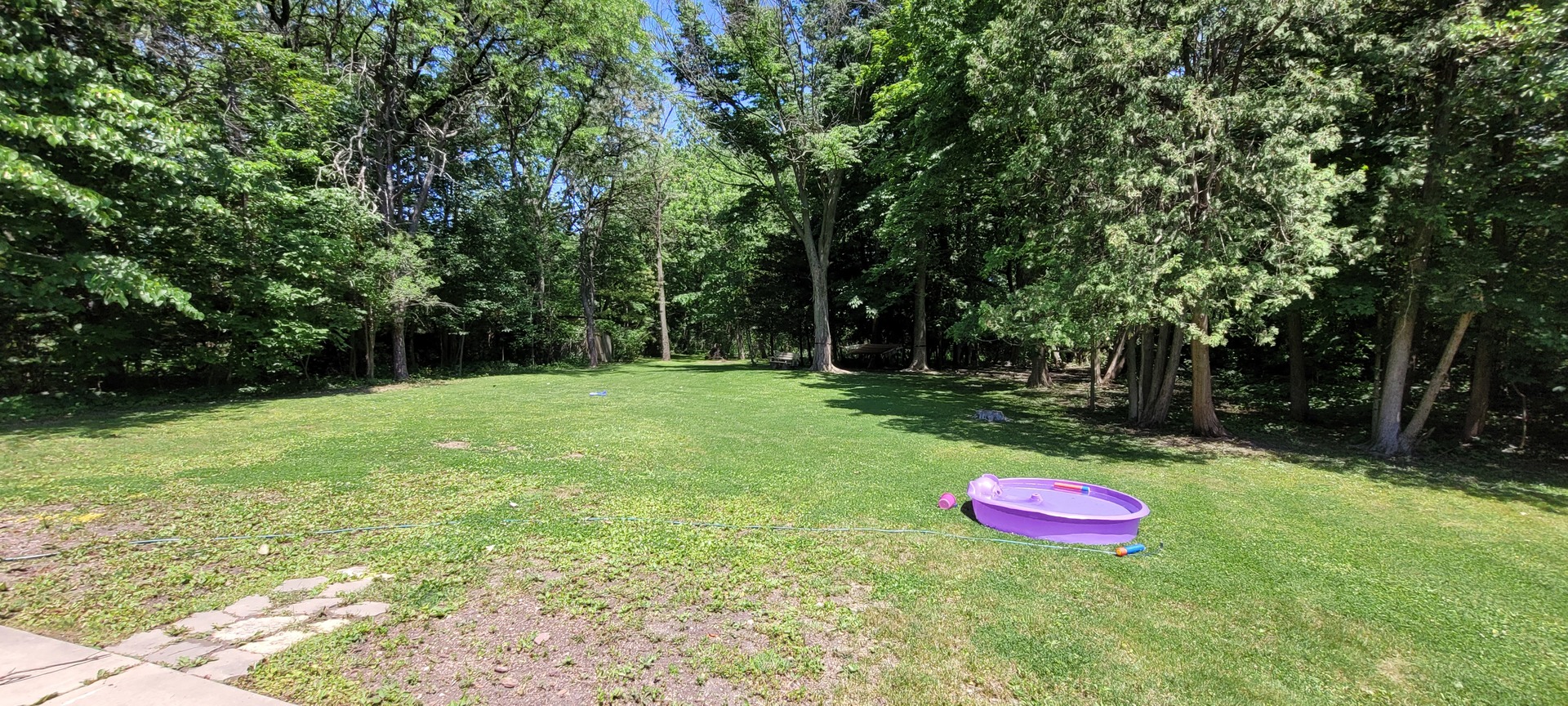 2010 Bilter Road Aurora, IL 60502 - Photo 30 of 47 a view of a backyard with a table and plants