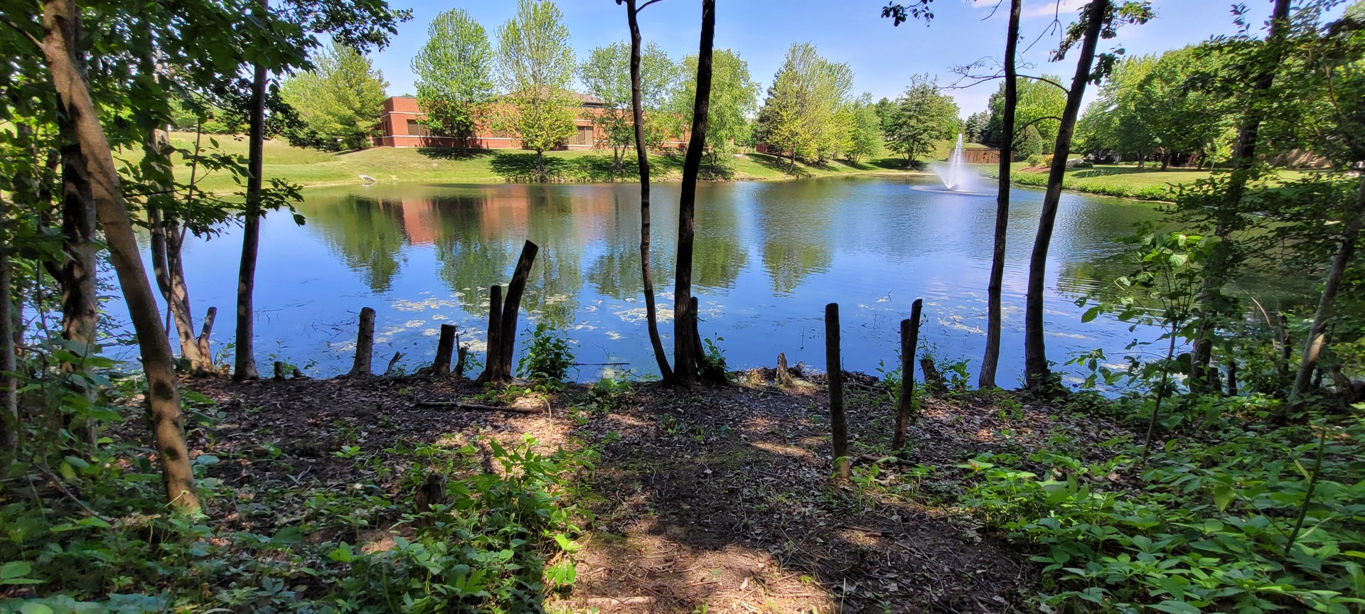2010 Bilter Road Aurora, IL 60502 - Photo 41 of 47 a view of a lake with a house in the background