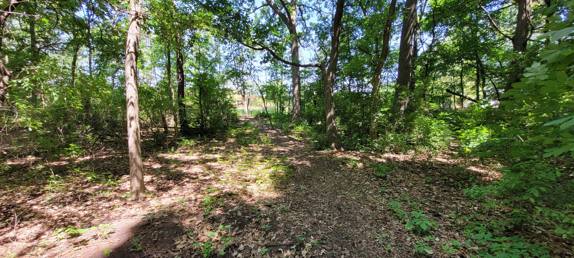 2010 Bilter Road Aurora, IL 60502 - Photo 43 of 47 a backyard of a house with lots of green space
