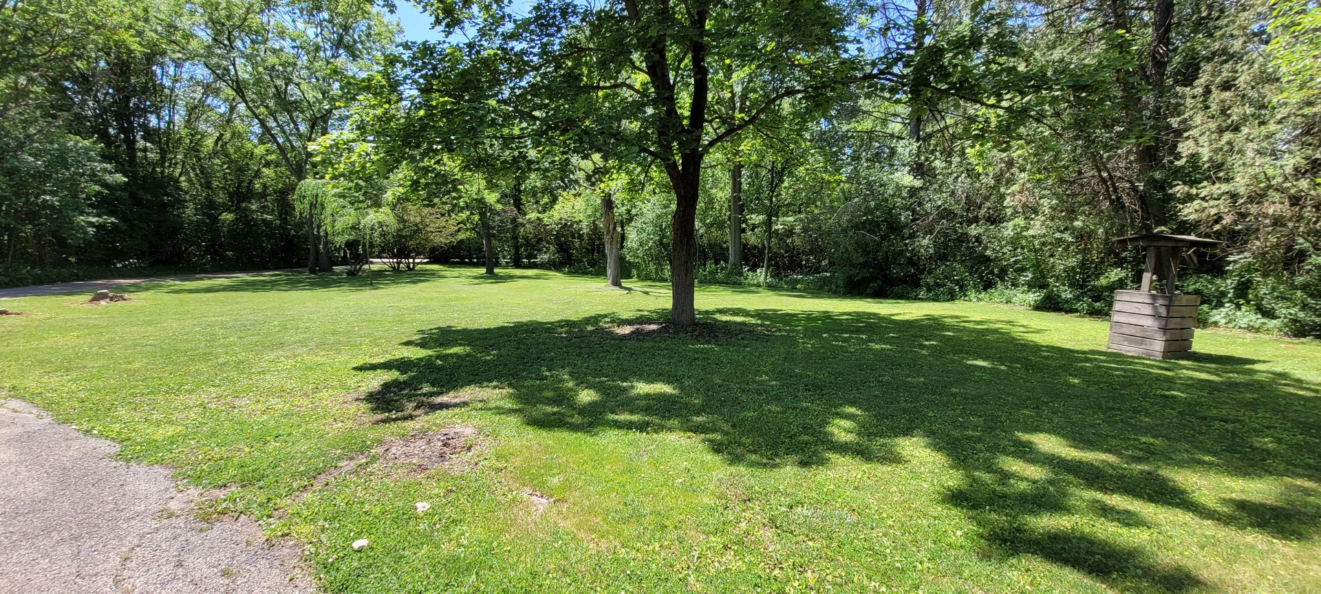 2010 Bilter Road Aurora, IL 60502 - Photo 44 of 47 a view of a trees with a yard