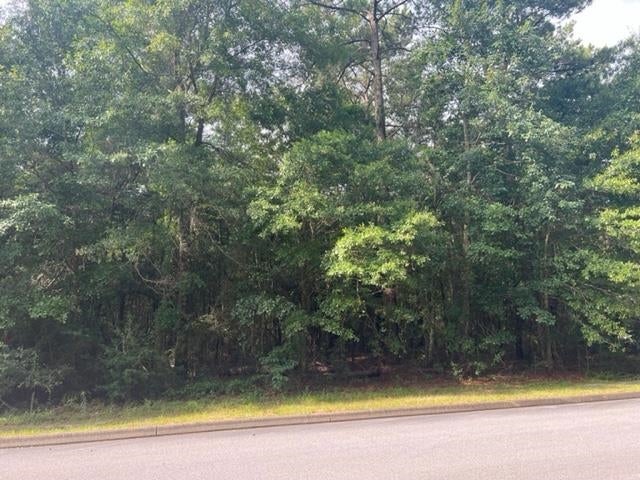 Tbd Shannan Road Opp, AL 36467 - Photo 2 of 20 Gallery Image 2