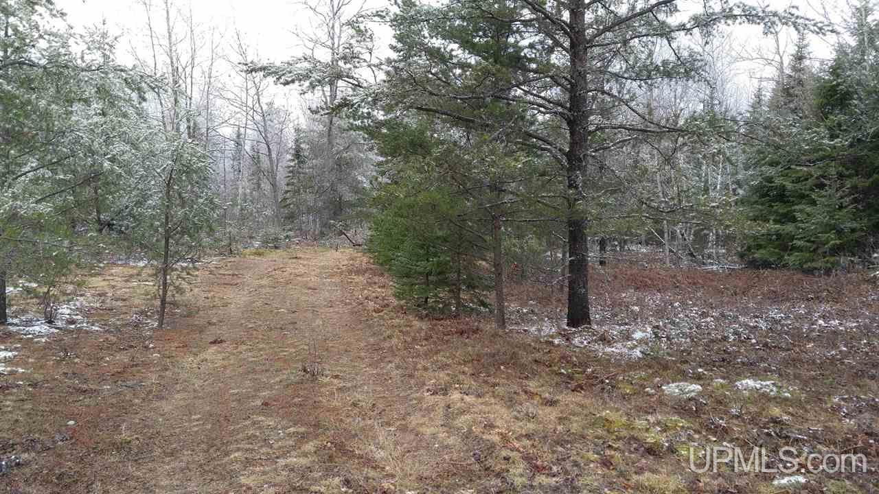 73-acres Co Rd 480 Marquette, MI 49855 - Photo 3 of 18