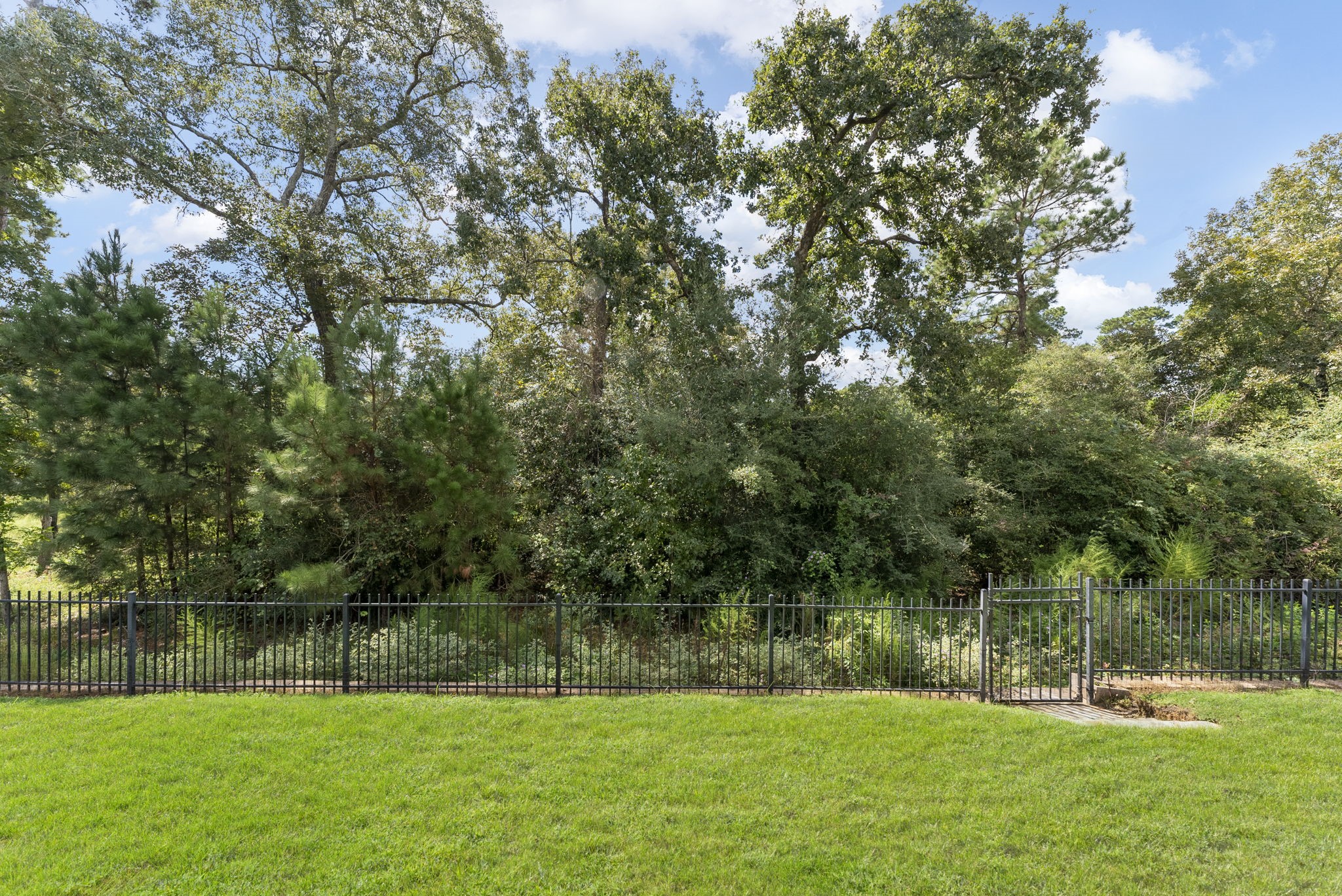 3565 Falcon Way Conroe, TX 77304 - Photo 37 of 50 Backyard overlooking the wooded backdrop beyond the rear fence.