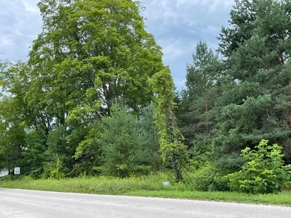 $39,900 | 0 East State Street, Central Lake, MI 49622