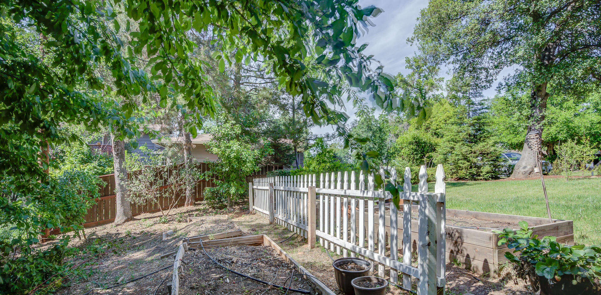 5146 Surrey Drive Redding, CA 96002 - Photo 48 of 57 a view of a yard with large trees