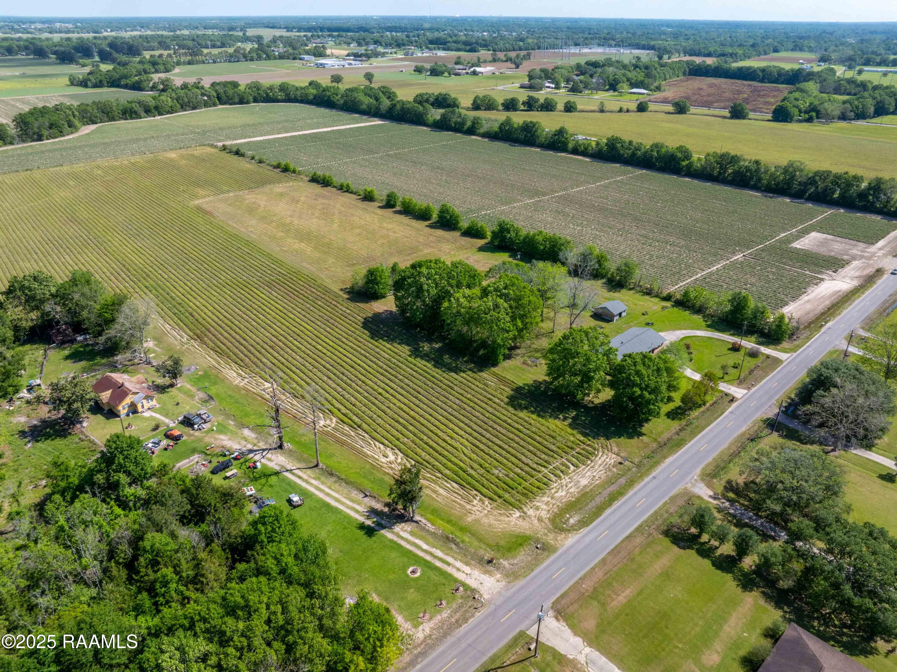 Lot 7 Leblanc Road Duson, LA 70529 - Photo 4 of 12 700BlkLeblanc-3