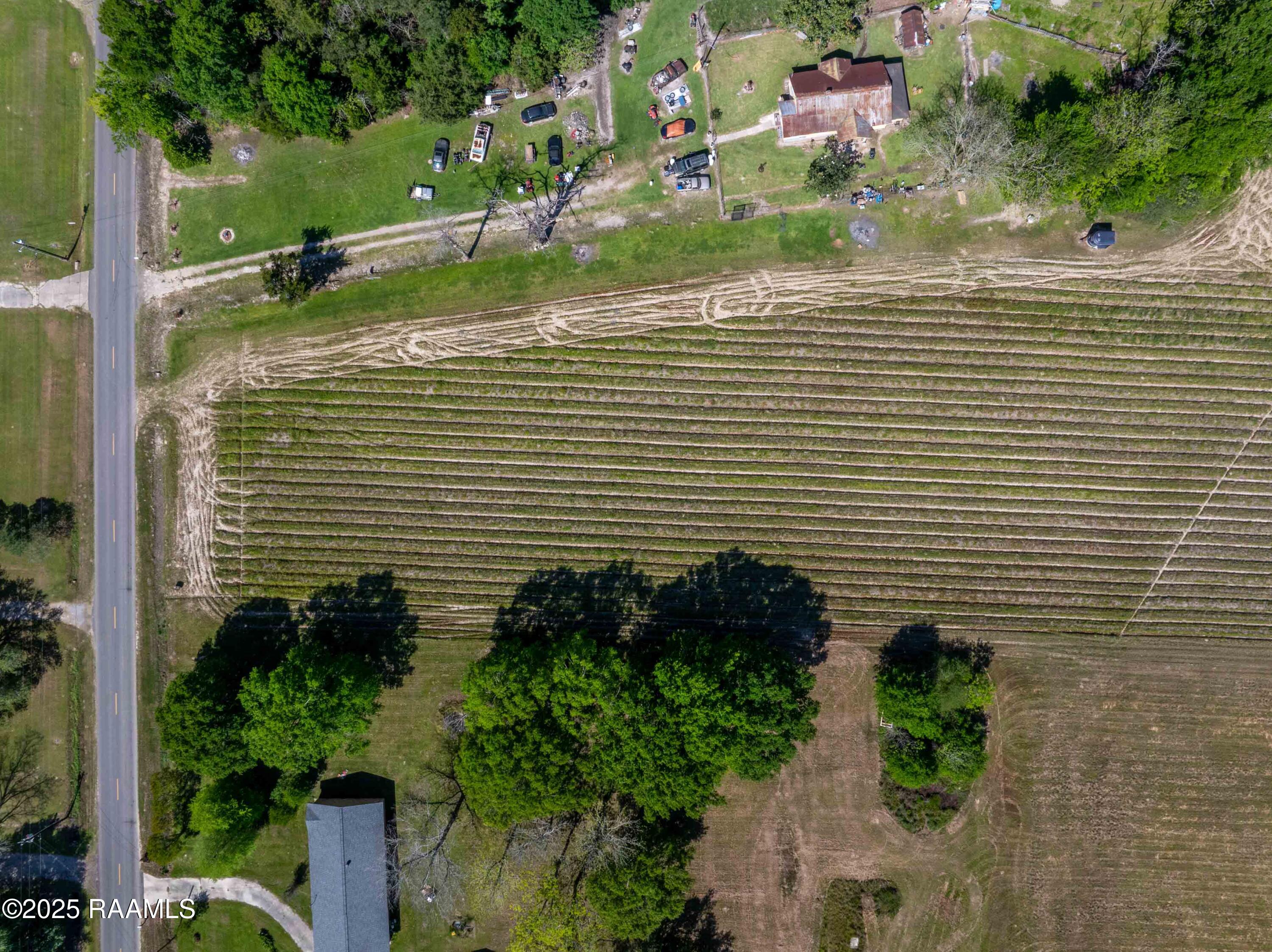 Lot 7 Leblanc Road Duson, LA 70529 - Photo 10 of 12 700BlkLeblanc-9