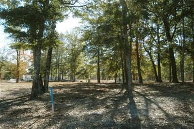 9223 Rivendell Place Calabash, NC 28467 - Photo 1 of 5 Primary Photo