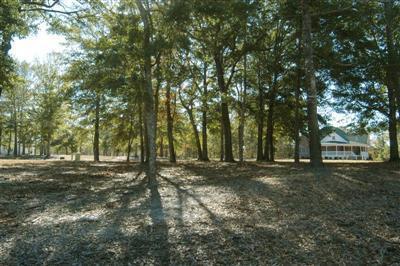 9223 Rivendell Place Calabash, NC 28467 - Photo 2 of 5 Additional Photo