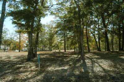 9223 Rivendell Place Calabash, NC 28467 - Photo 3 of 5 Additional Photo