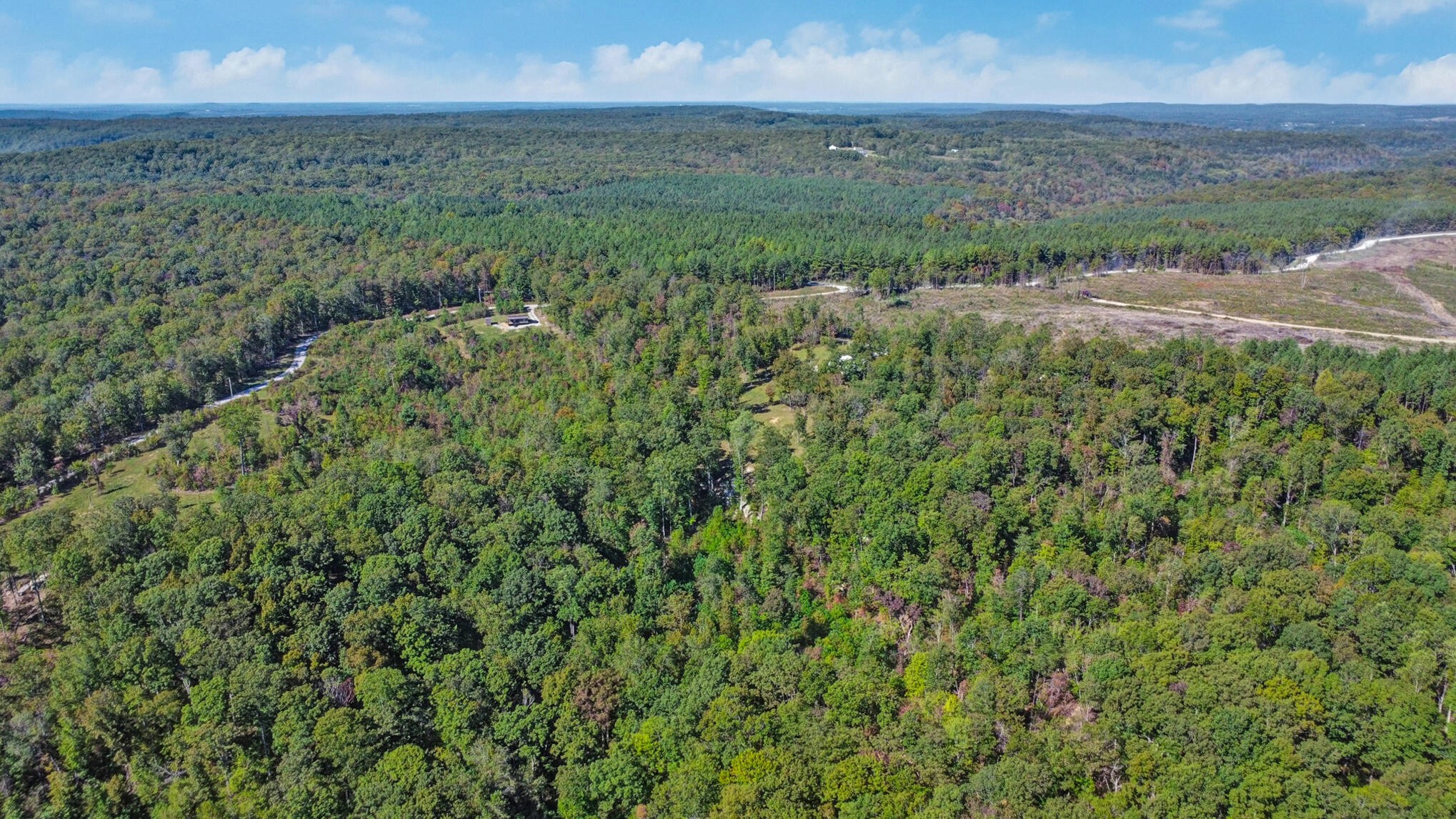0 Overview Road Crossville, TN 38572 - Photo 16 of 18 a view of a field of grass and trees