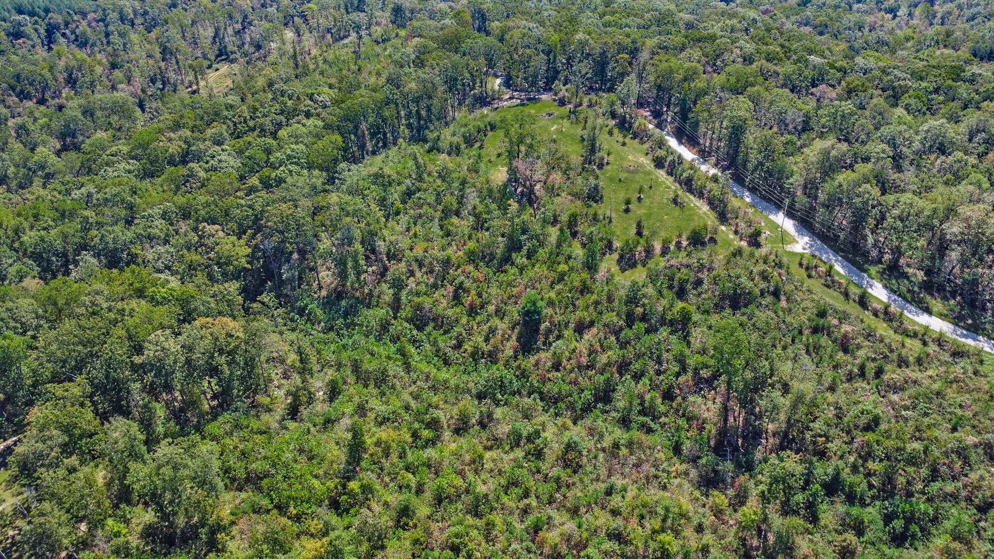 0 Overview Road Crossville, TN 38572 - Photo 18 of 18 a view of a lush green forest with a lush green forest