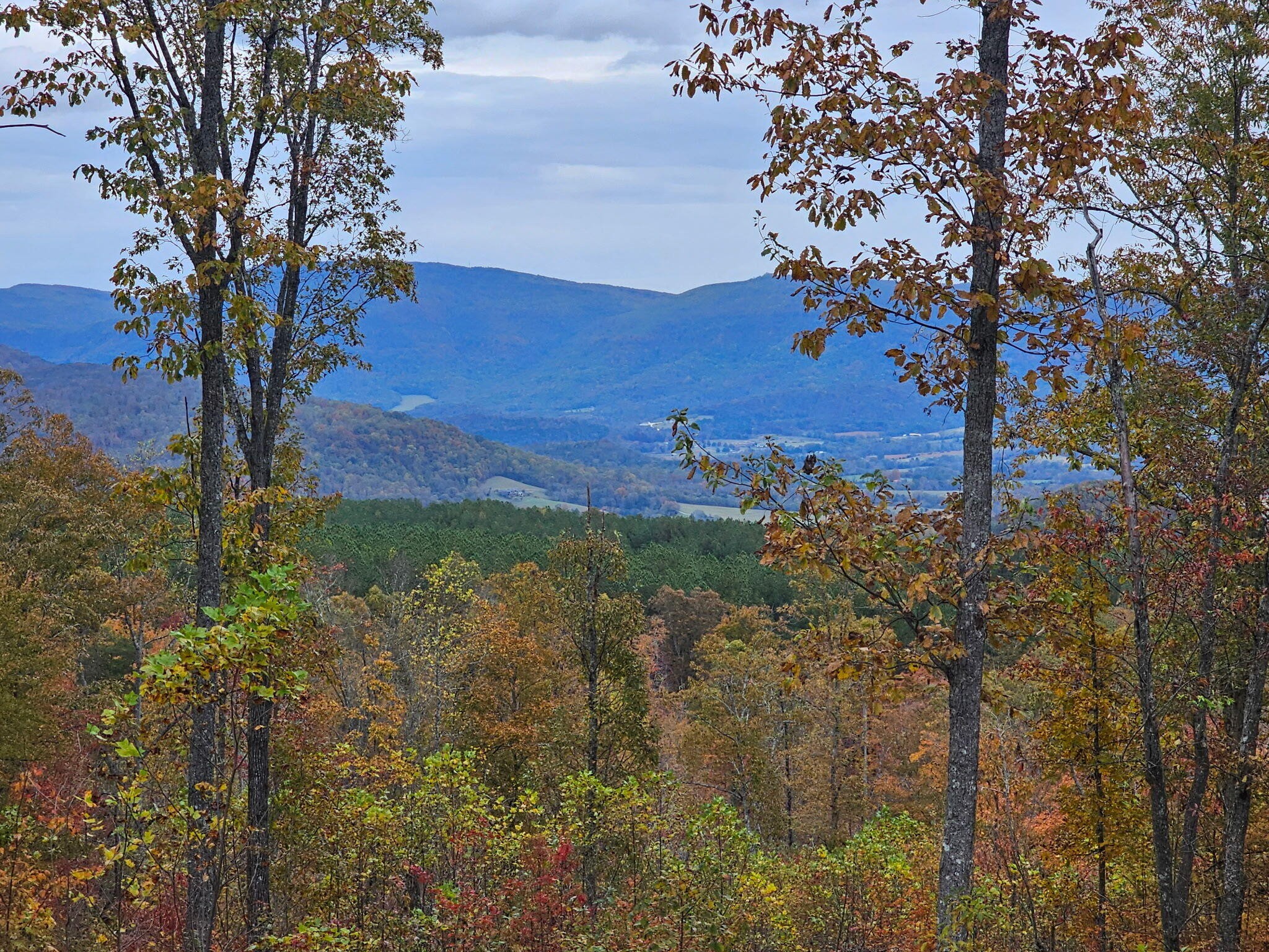 0 Overview Road Crossville, TN 38572 - Photo 4 of 18 a view of a backyard of the house