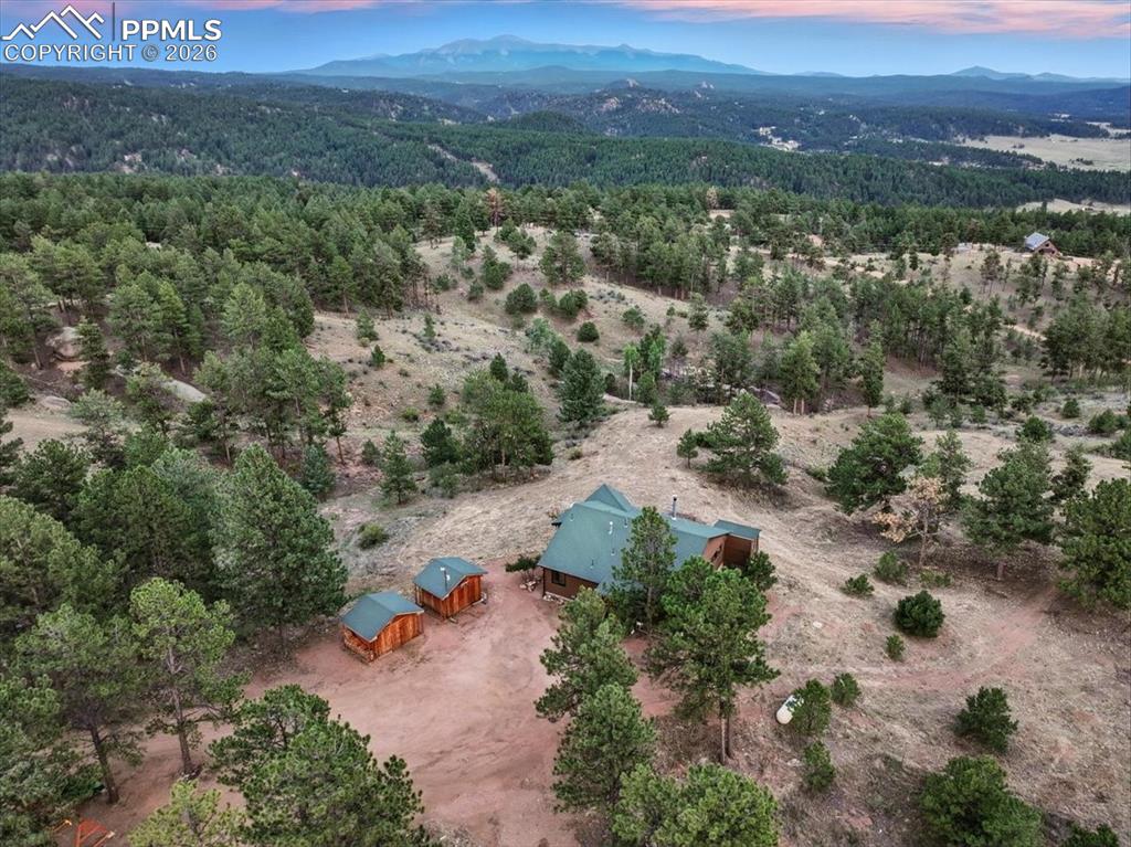 1721 Wildhorn Road Florissant, CO 80816 - Photo 4 of 48