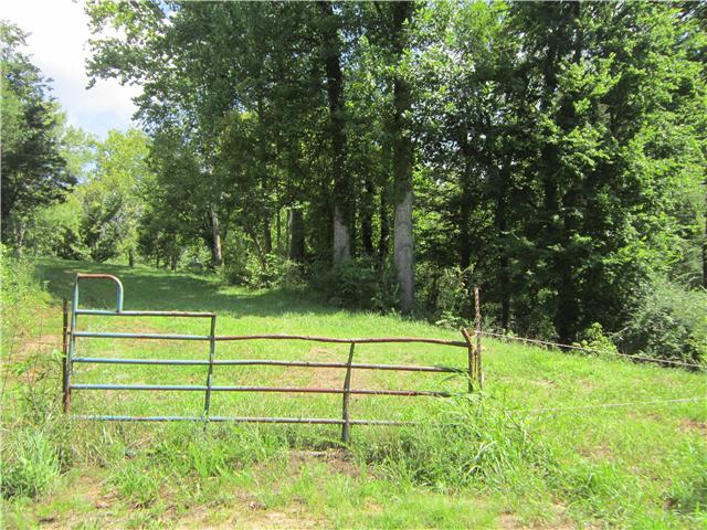 0 Beasley Road Lawrenceburg, TN 38464 - Photo 1 of 11 Gallery Image 1