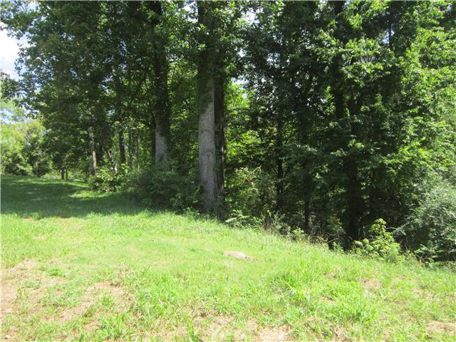 0 Beasley Road Lawrenceburg, TN 38464 - Photo 4 of 11 Gallery Image 4