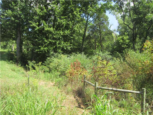 0 Beasley Road Lawrenceburg, TN 38464 - Photo 6 of 11 this is corner post