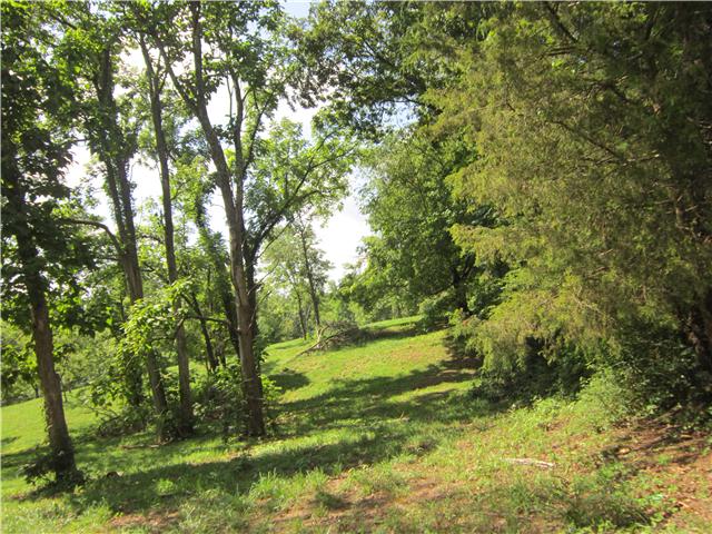 0 Beasley Road Lawrenceburg, TN 38464 - Photo 7 of 11 Gallery Image 7
