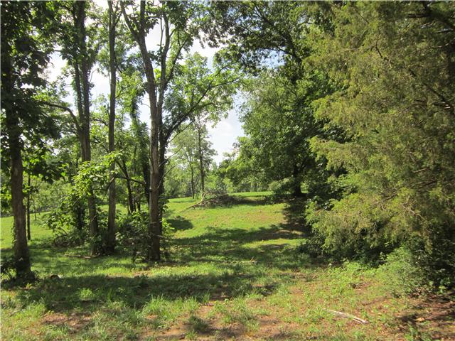 0 Beasley Road Lawrenceburg, TN 38464 - Photo 8 of 11 Gallery Image 8