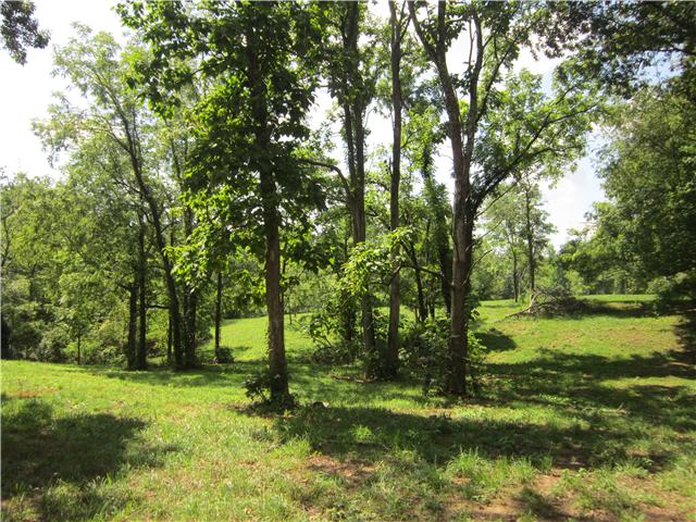 0 Beasley Road Lawrenceburg, TN 38464 - Photo 9 of 11 Gallery Image 9