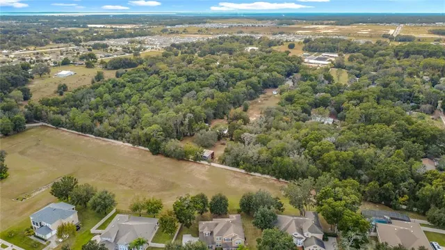 a view of a city with lush green forest