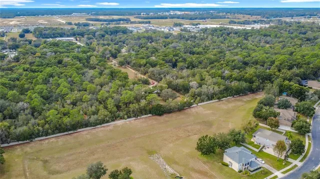 a view of a forest with a yard