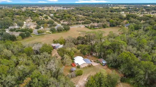 a view of city and green space