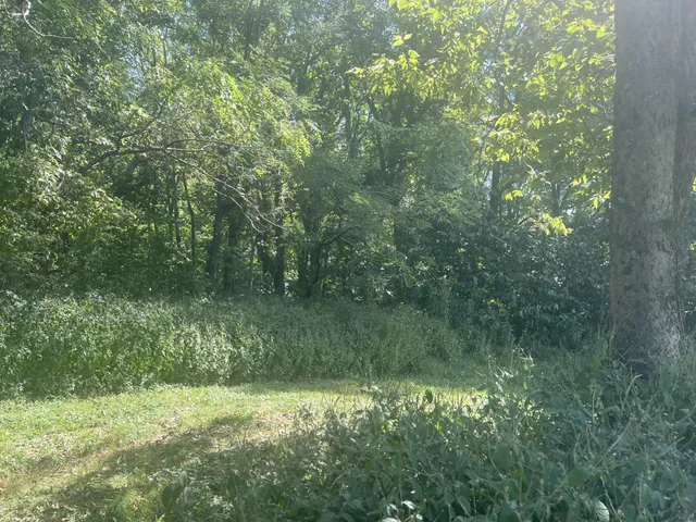 $235,000 | 9127 Highway 56, Vevay, IN 47043