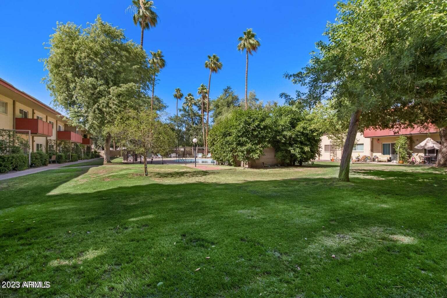 349 East Thomas Road, Unit E103 Phoenix, AZ 85012 - Photo 17 of 24 Lush green common area