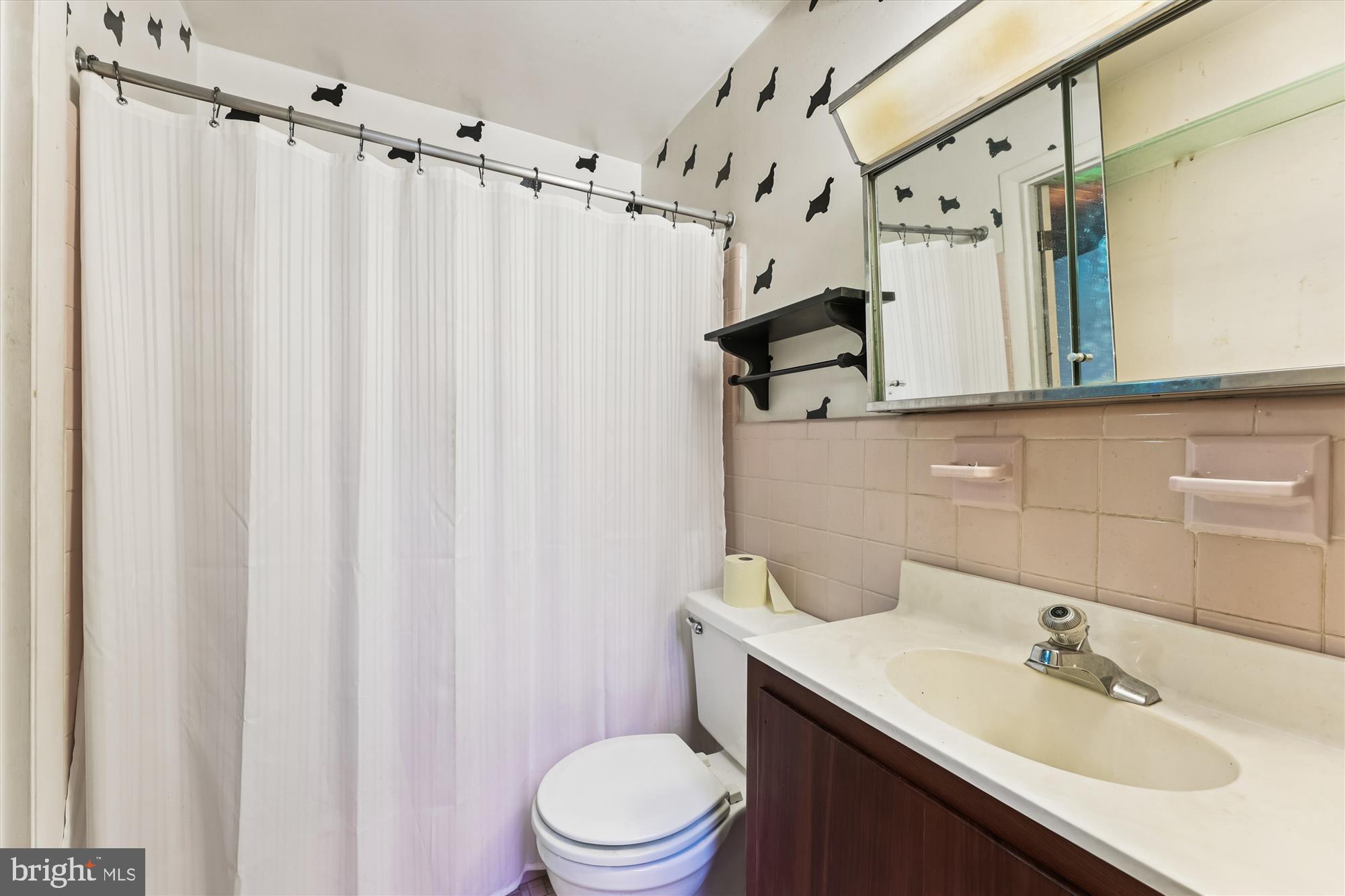 15120 Reserve Road Accokeek, MD 20607 - Photo 20 of 32 a bathroom with a sink a toilet a mirror and shower curtain