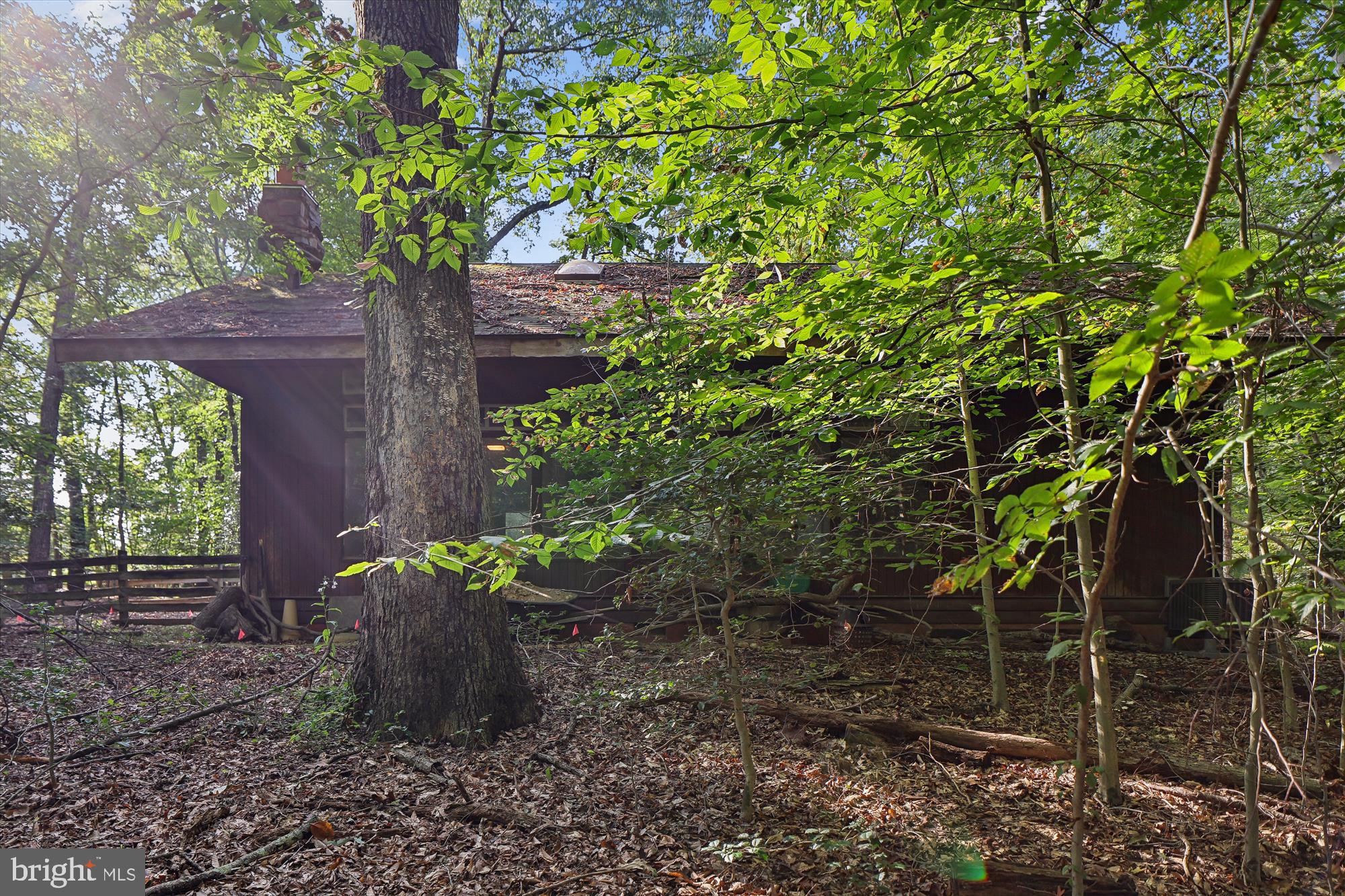 15120 Reserve Road Accokeek, MD 20607 - Photo 30 of 32 a house with a tree in the yard