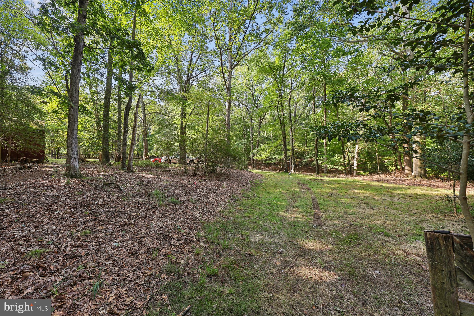 15120 Reserve Road Accokeek, MD 20607 - Photo 8 of 32 a view of a tree in the middle of a yard