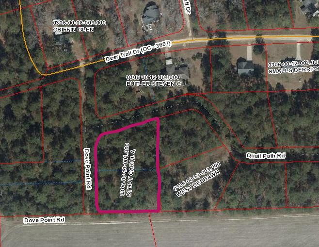 6040 Dove Point Road Santee, SC 29142 - Photo 5 of 5 lots (2)