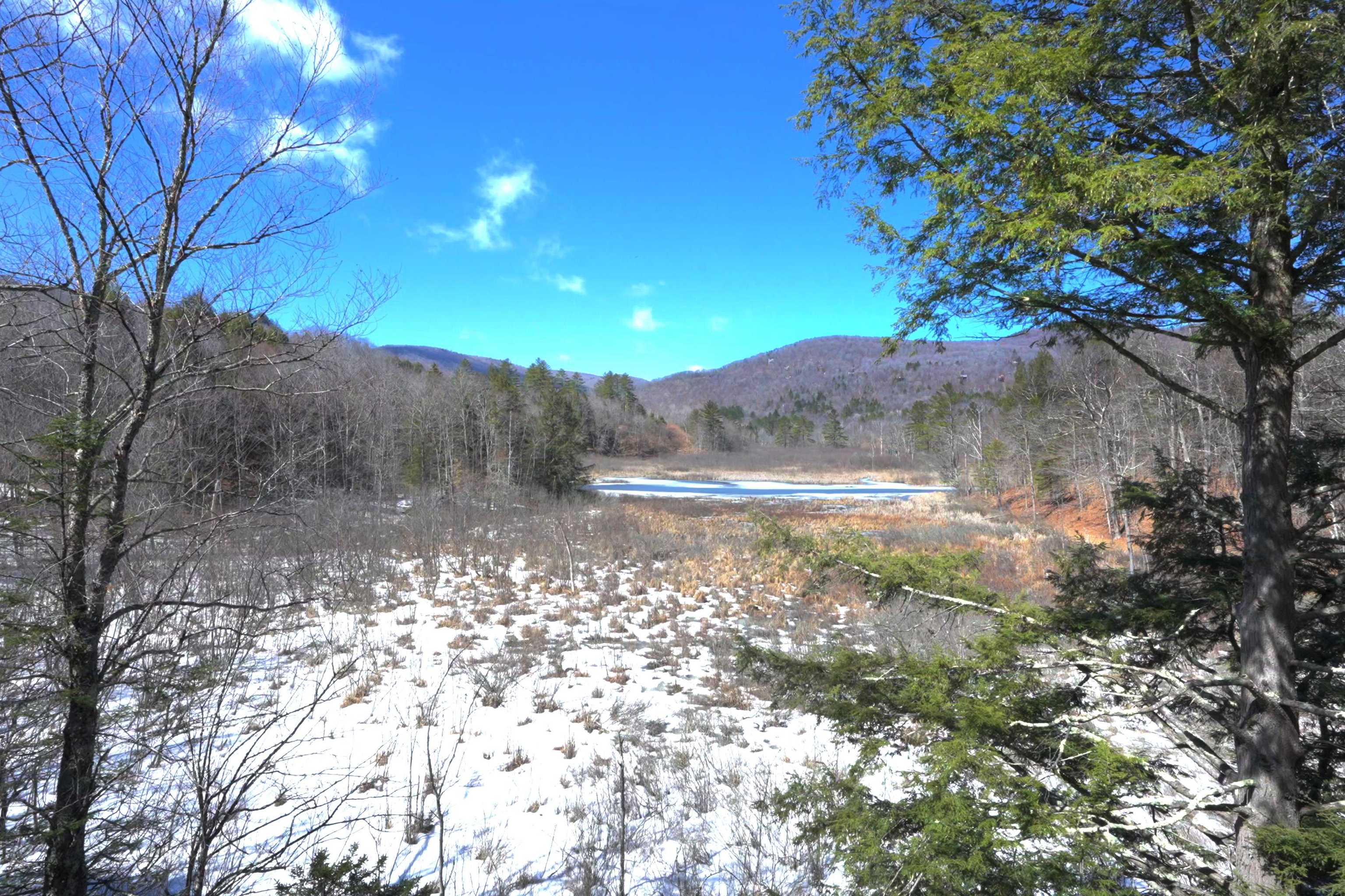 149 Hawk Pond Road Plymouth, VT 05056 - Photo 36 of 41