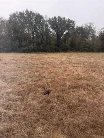 a view of a green field