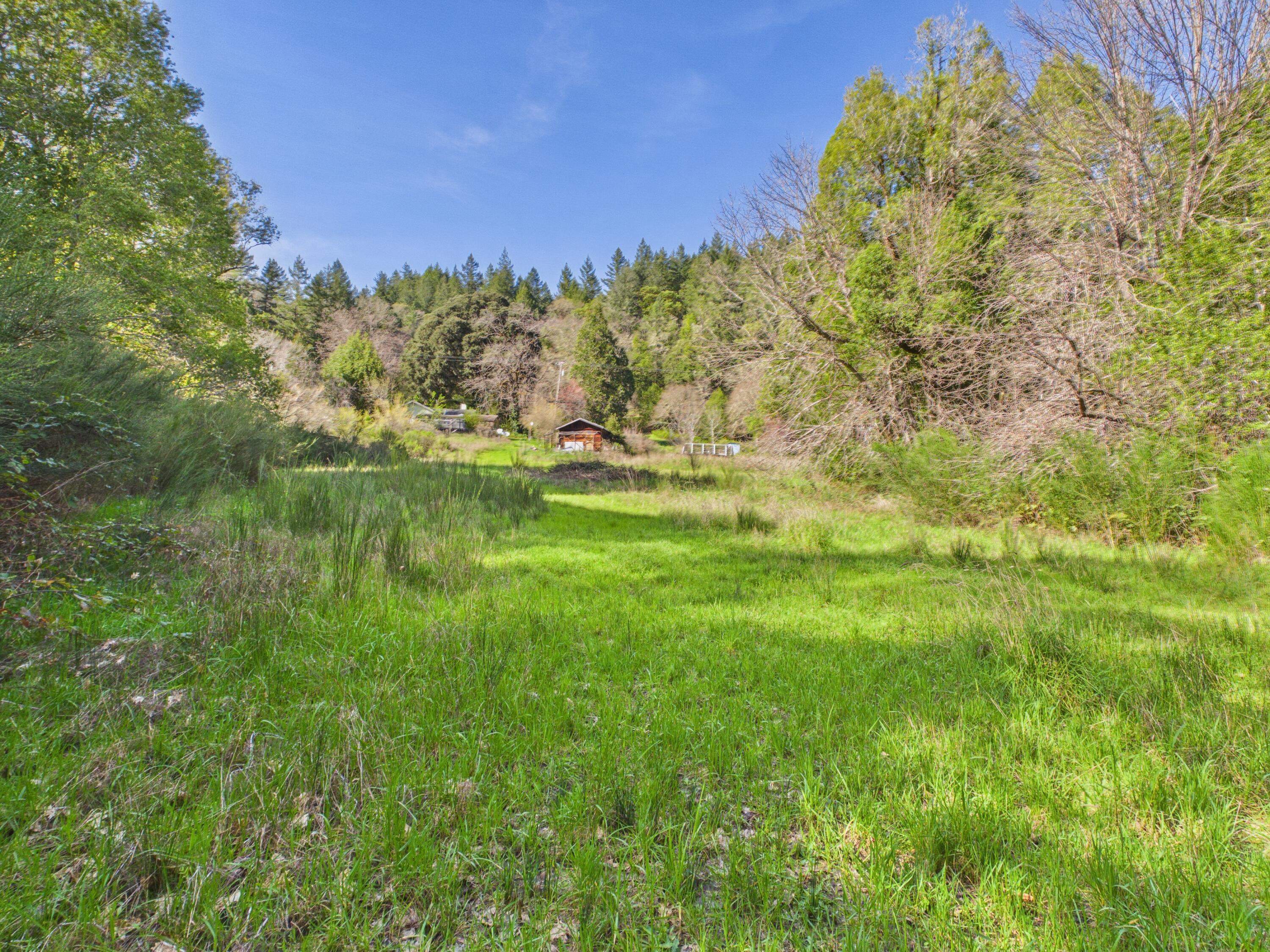 5350 Briceland Road Redway, CA 95560 - Photo 38 of 44