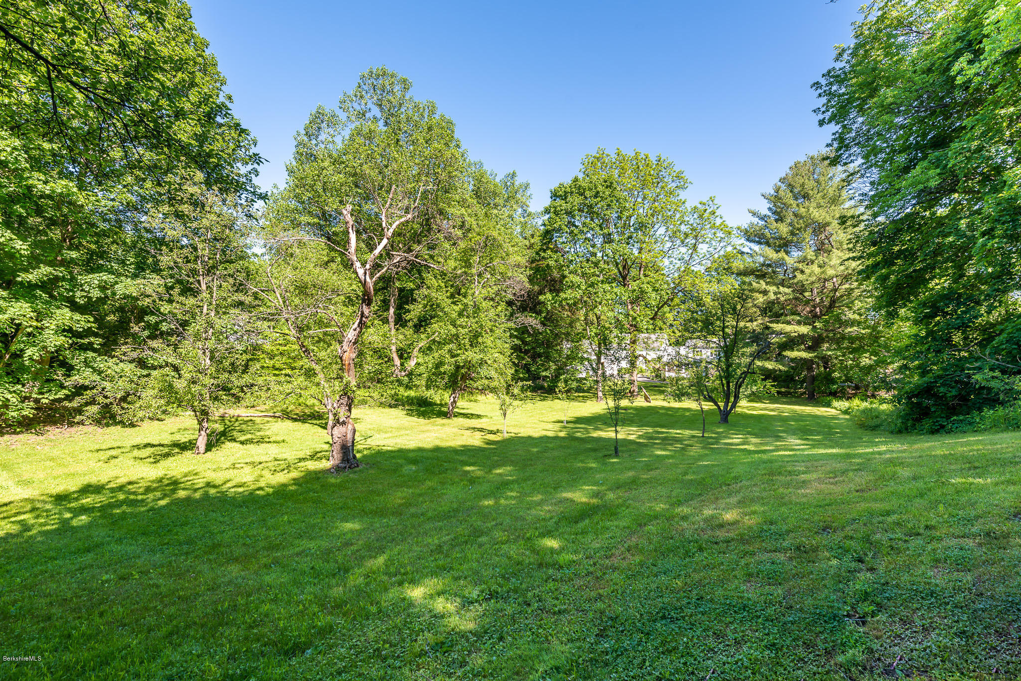 6 Stockbridge Road West Stockbridge, MA 01266 - Photo 30 of 36 Large Yard