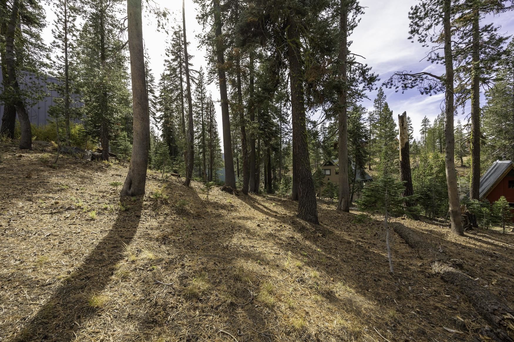 8141 Soda Springs Road Soda Springs, CA 95728 - Photo 8 of 11 Gallery Image 8