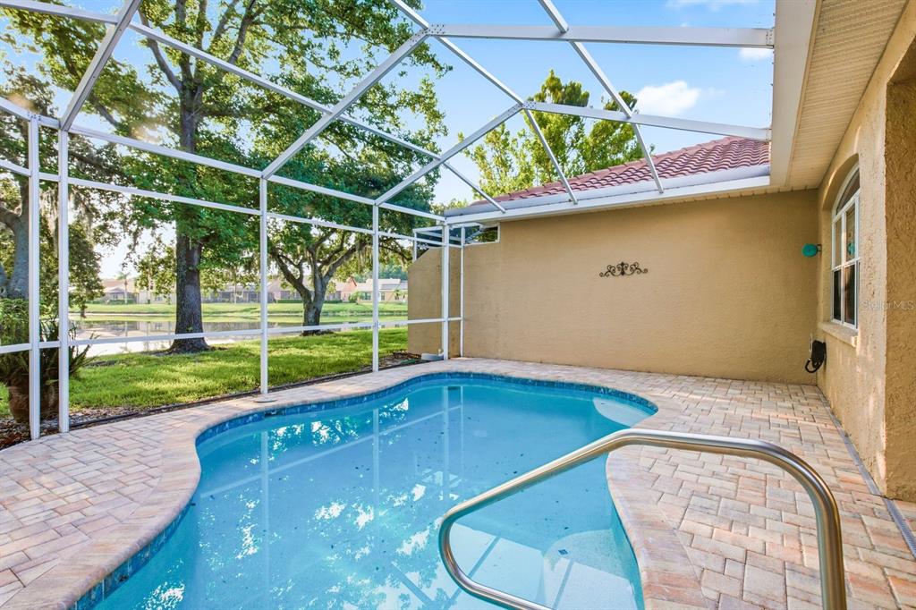 3857 Timber Ridge Court Palm Harbor, FL 34685 - Photo 34 of 56