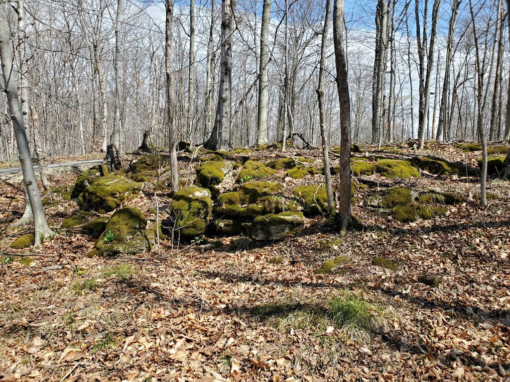 Lot 3 Red Cherry Road Baileys Harbor, WI 54202 - Photo 1 of 11 Main View