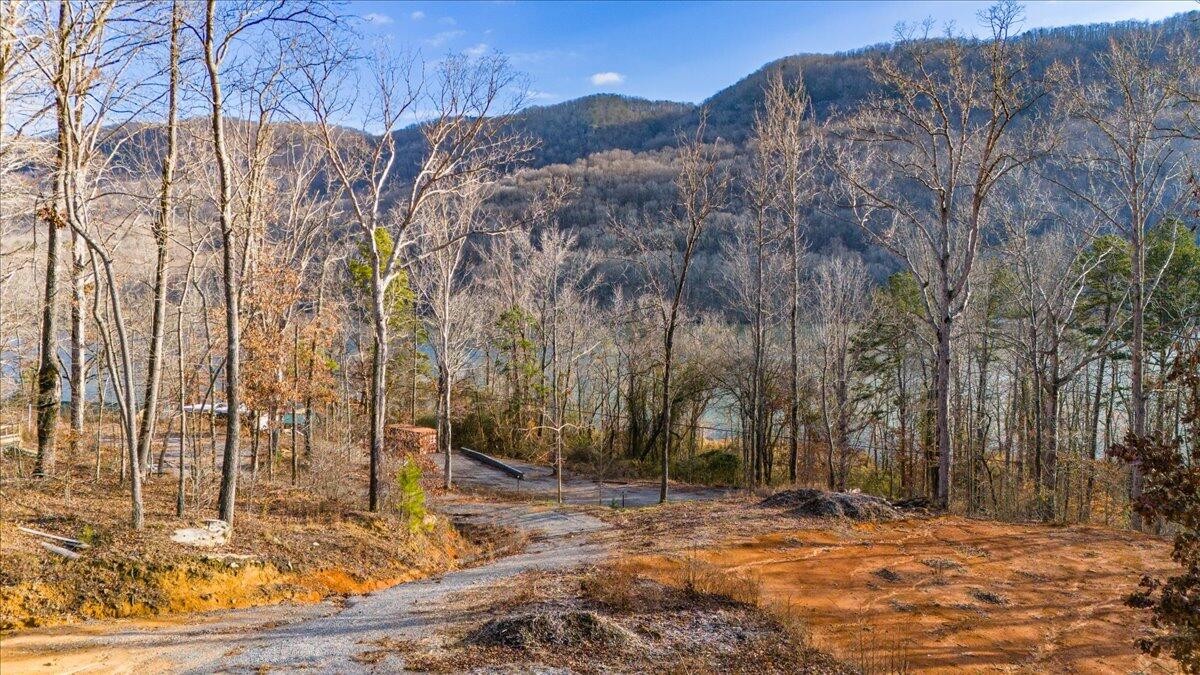 10495 Mullins Cove Road Whitwell, TN 37397 - Photo 5 of 13 Gallery Image 5