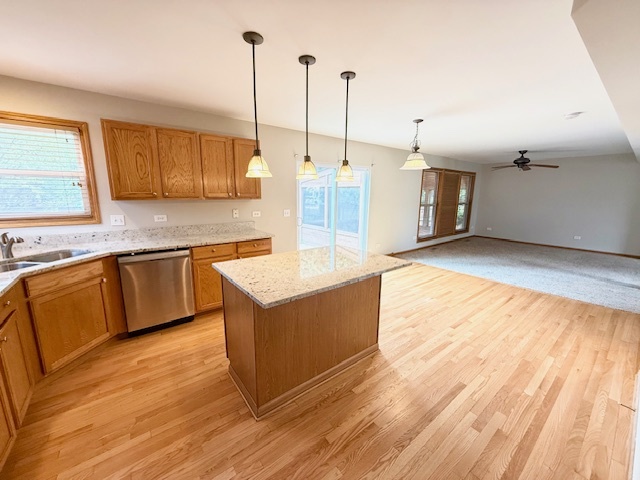 1301 Bridgehampton Drive Plainfield, IL 60586 - Photo 4 of 22