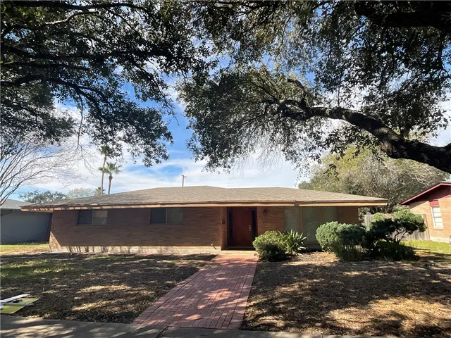 a view of a backyard with a large tree