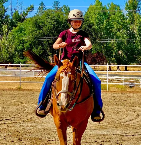 $449,900 | 19099 Raboul Court, Groveland, CA 95321