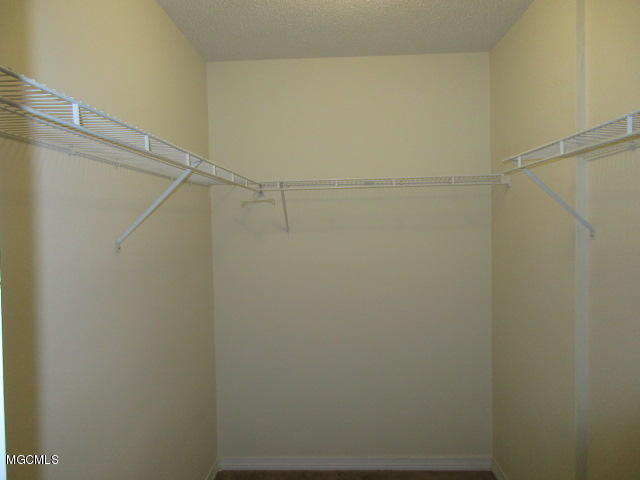 940 Bluff Ridge Biloxi, MS 39532 - Photo 8 of 18 Master Walk-in Closet