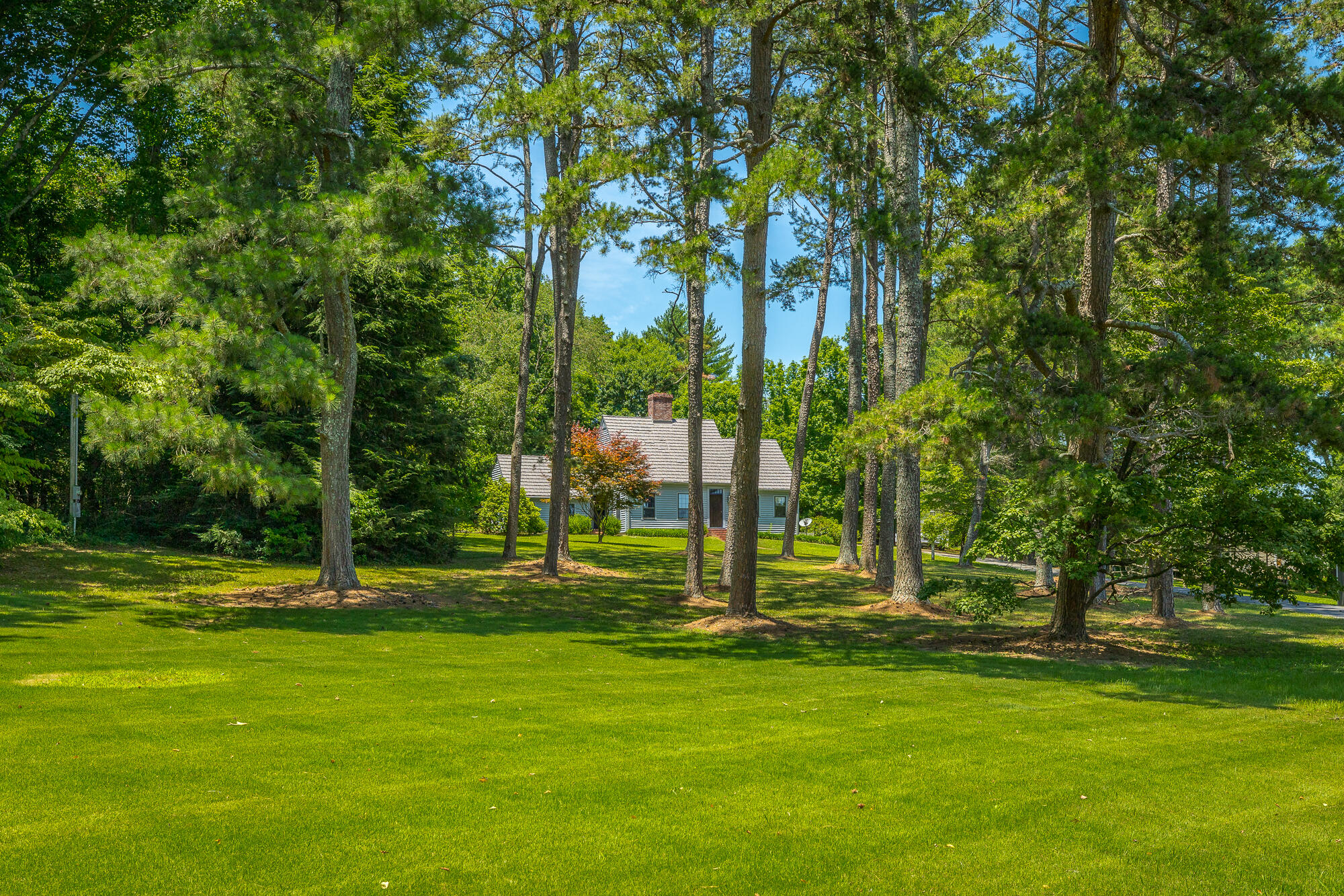 305 5 Points Road Chickamauga, GA 30707 - Photo 4 of 62 305 5 Points Rd. HD-1