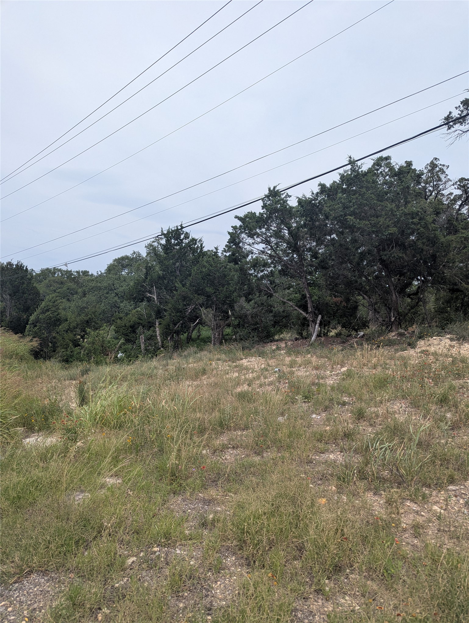 Lot 2 Hamilton Pool Road Bee Cave, TX 78738 - Photo 3 of 14 View of nature